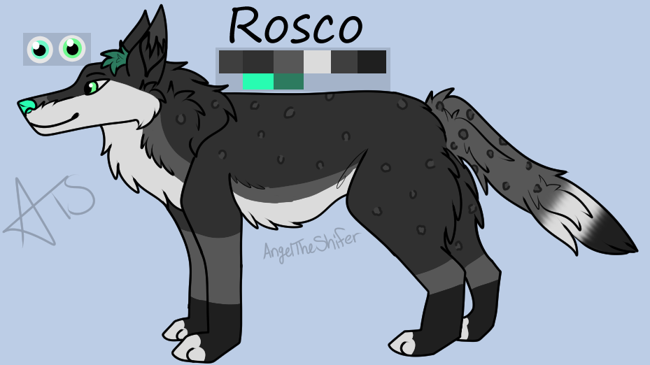 Rosco Ref Sheet 2023