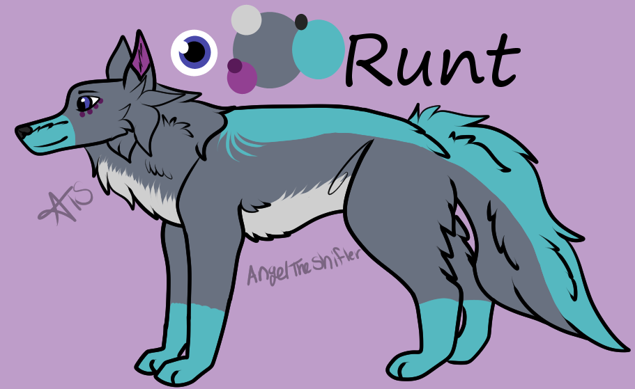 Runt Ref 2024