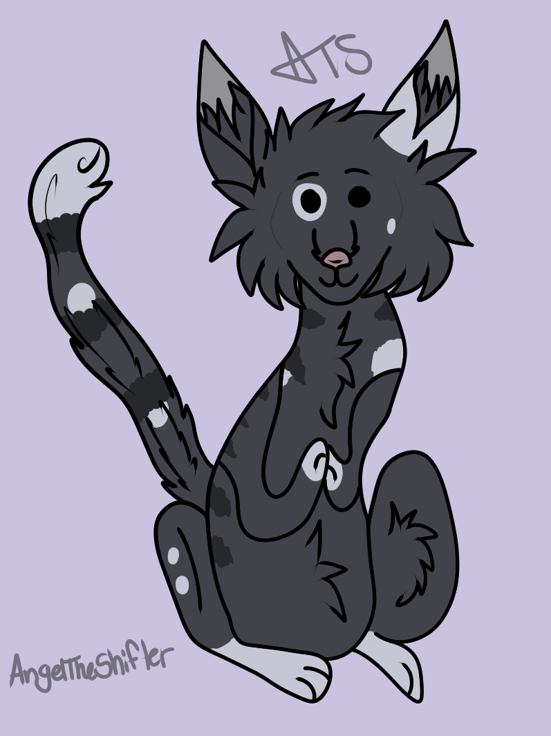Derpy Scrappy