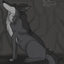 Solitude - DOTW-