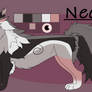 Neo Refsheet 2024