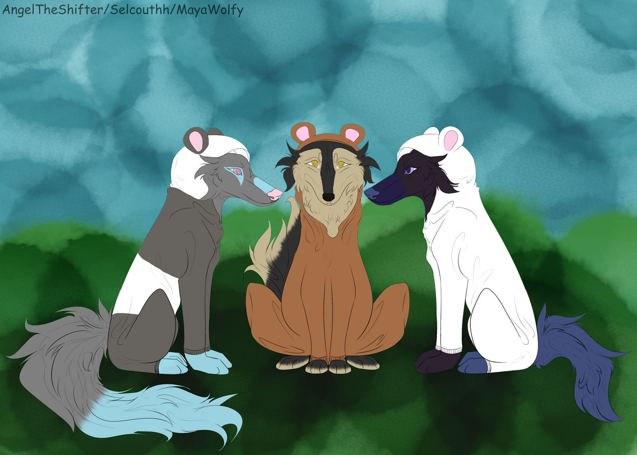 We are the bare bears