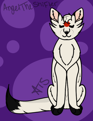 For Bunnysocks