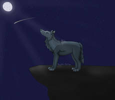 To Wish Upon A Star