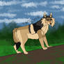 Wandering -DOTW-