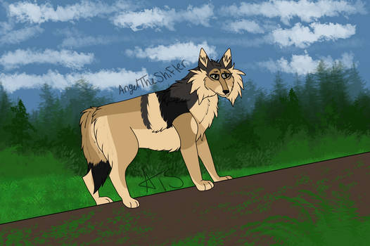 Wandering -DOTW-