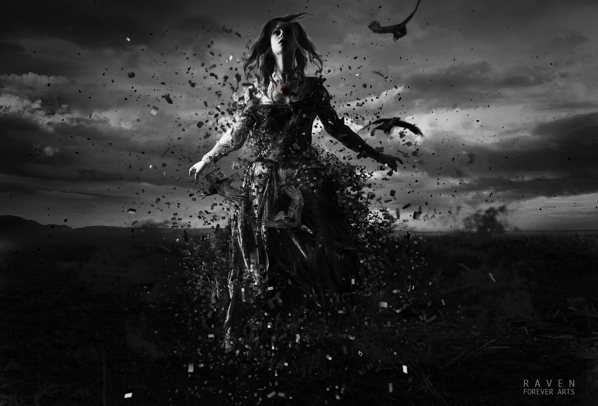 Raven by PM-ForeverArts on DeviantArt