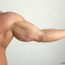 Zoltan - arm, muscles