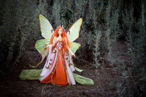 Elaine, Moon moth fairy