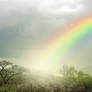 Magic Rainbow