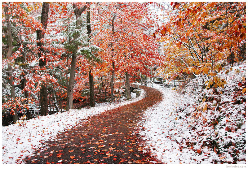 Two Seasons by BenHeine