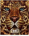 Leopard by BenHeine