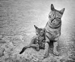 Never Leave Me Alone by BenHeine