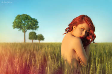 Nature's Touch