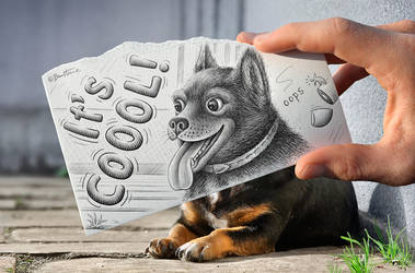 Pencil Vs Camera - 65 by BenHeine