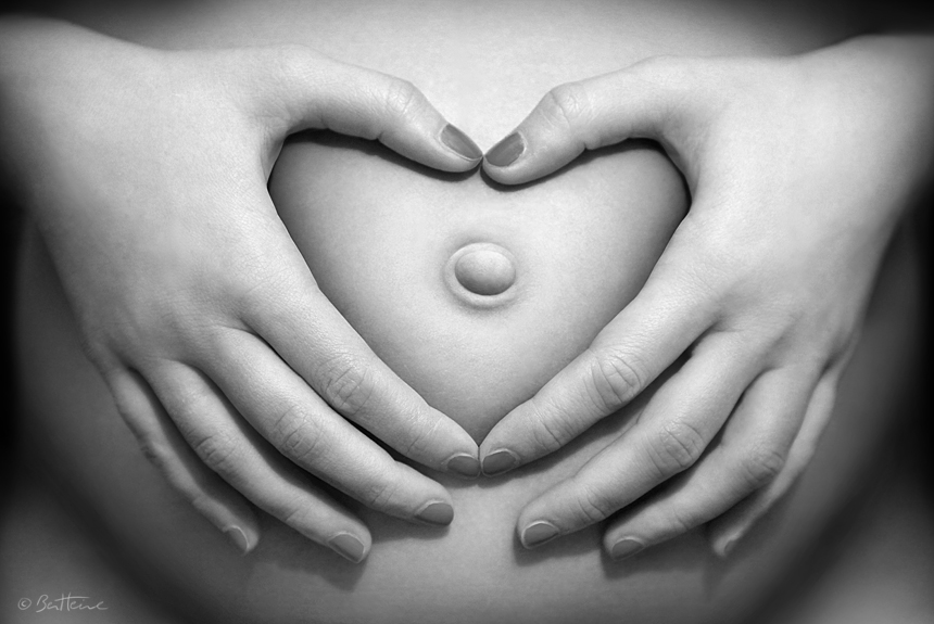 The Cycle of Life and Love