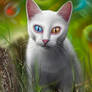 Hypnosis
