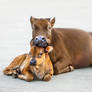 Mother and Son =D