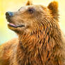 Cute Bear Portrait - Ben Heine Photography