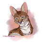 Serval