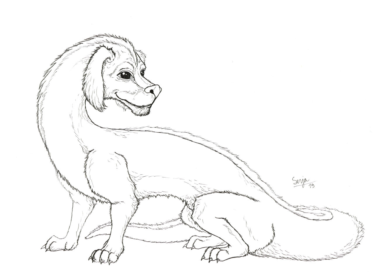 Falcore Color Pages Falkor by Senyadra on DeviantArt