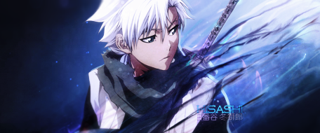 Hitsugaya Toushirou Sign