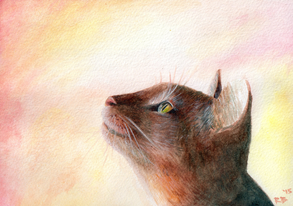 Cat Watercolour - Critiques Wanted!