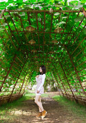 Green Tunnel