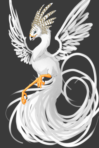White fenix best sale