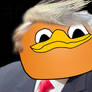 dolan trump