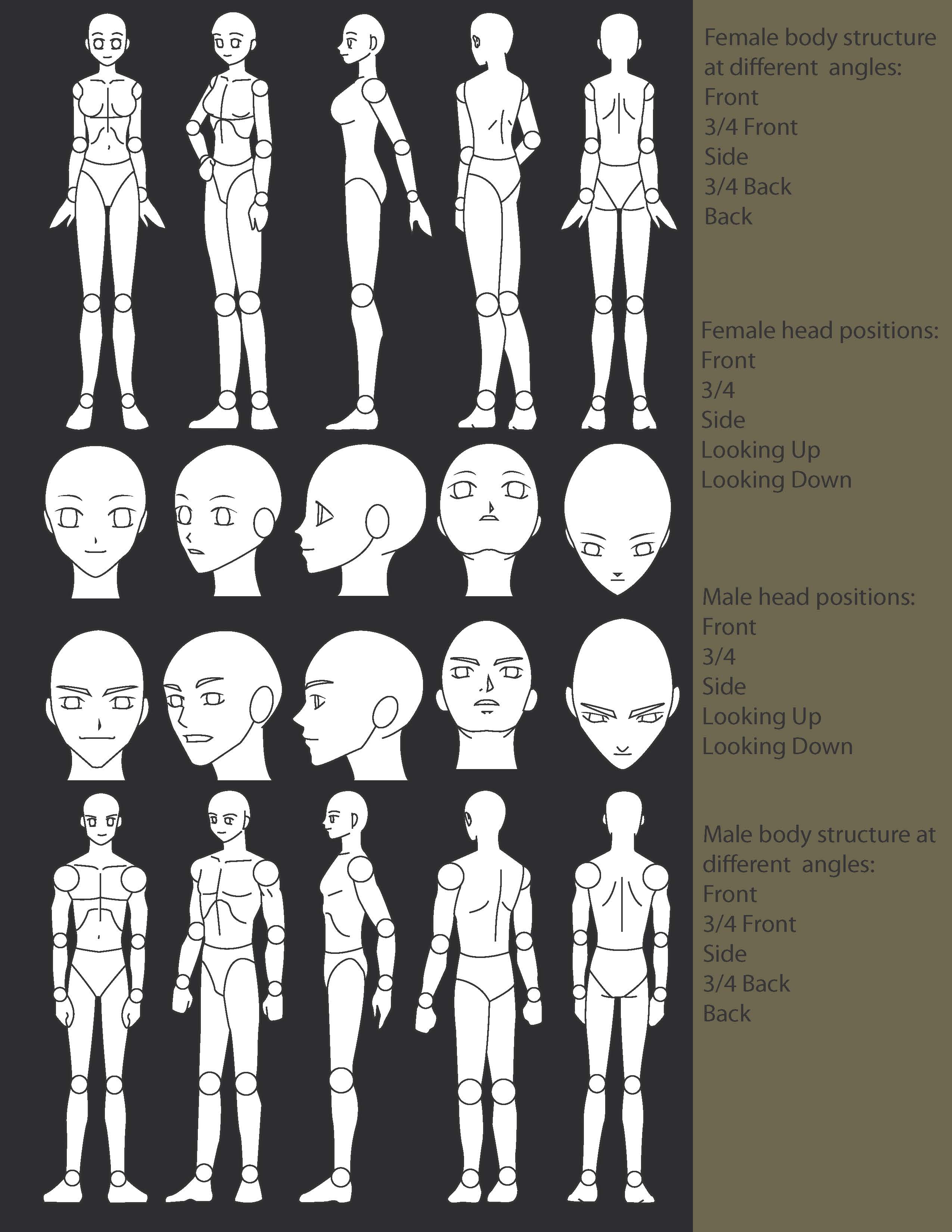 Base Form Character Base Formaulation by LucienVox on DeviantArt