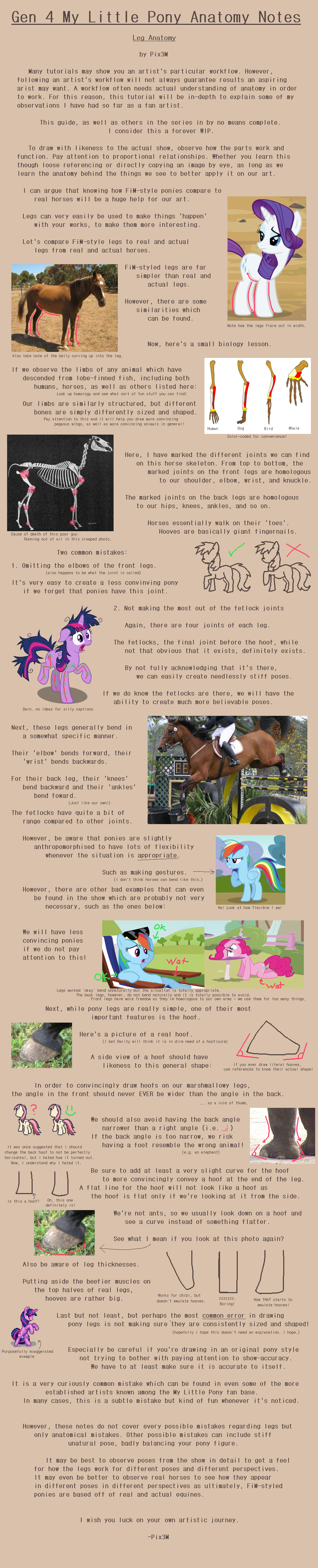 Mlp Leg Rasied G4 MLP Anatomy Notes - Legs by Pix3M on DeviantArt