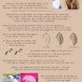 G4 MLP Anatomy Notes - Misc- Ear, Core, Tail