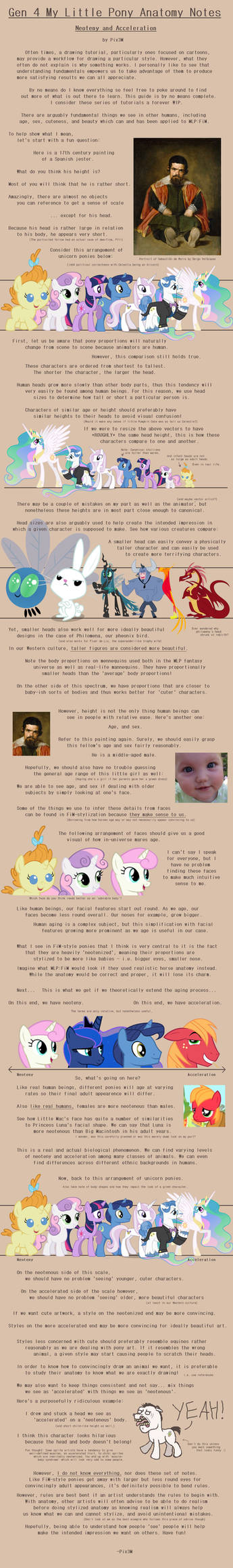 G4 MLP Anatomy Notes - Neoteny and Acceleration