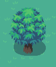 Ludum Dare: Tree Studies