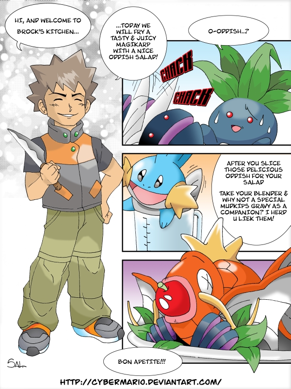 Pokemon - Brock's Kitchen