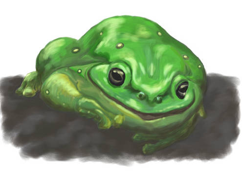 Frog3