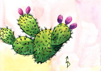 Prickly Pear