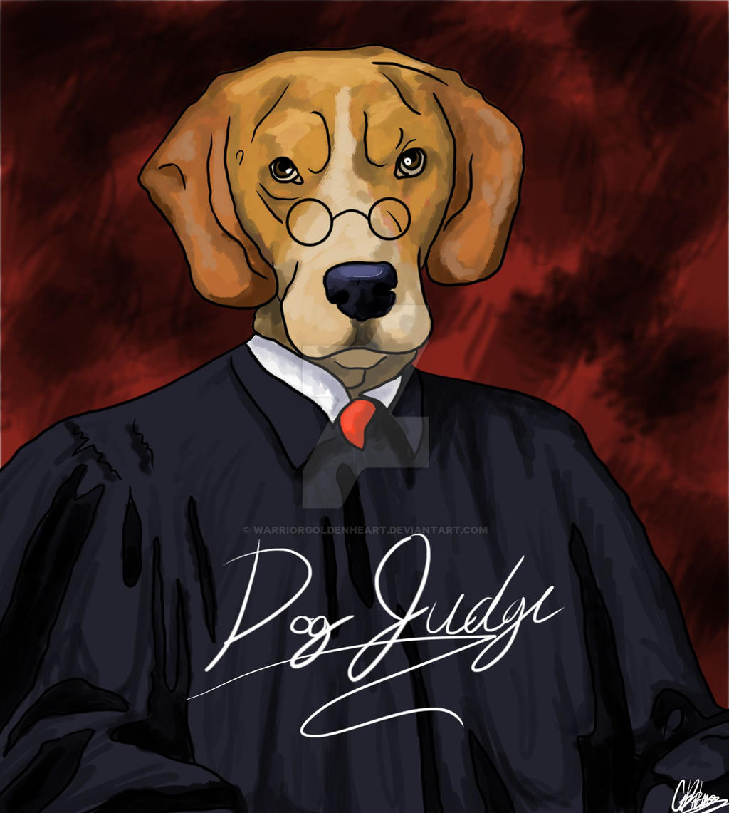 Dog Judge By Warriorgoldenheart On DeviantArt dog-judge-by-warriorgoldenheart-on-deviantart