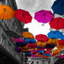 Colored umbrellas in black and white world