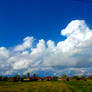 Sky above suburb