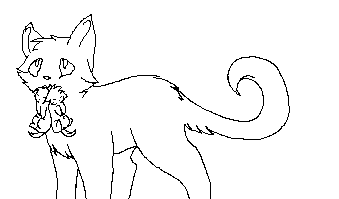 warrior cat bases favourites by wolfpacklover4 on DeviantArt