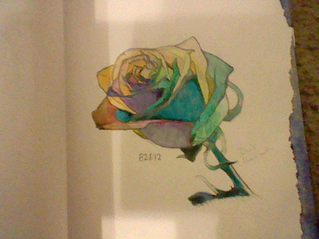 Rainbow Rose