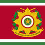 Military Flag Surinam - 2