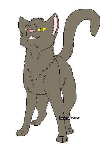 Warrior cat bases favourites by Breeziie on DeviantArt