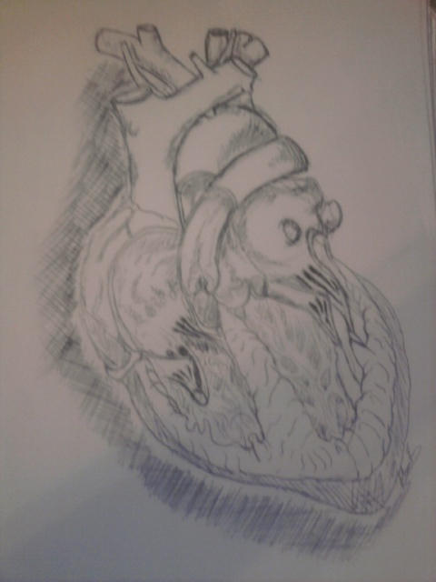 Corazon by Johanbach93 on DeviantArt