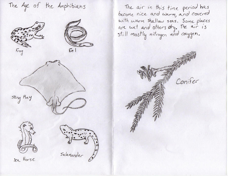 The Age of the Amphibians by WarriorKatniss on DeviantArt