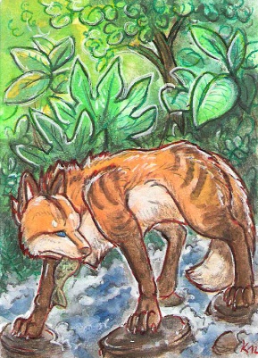 aceo Kalahari