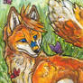 aceo Poonie fox 2