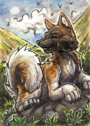 Star aceo